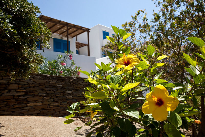 Alexandros Hotel Platis Gialos  Exteriör bild