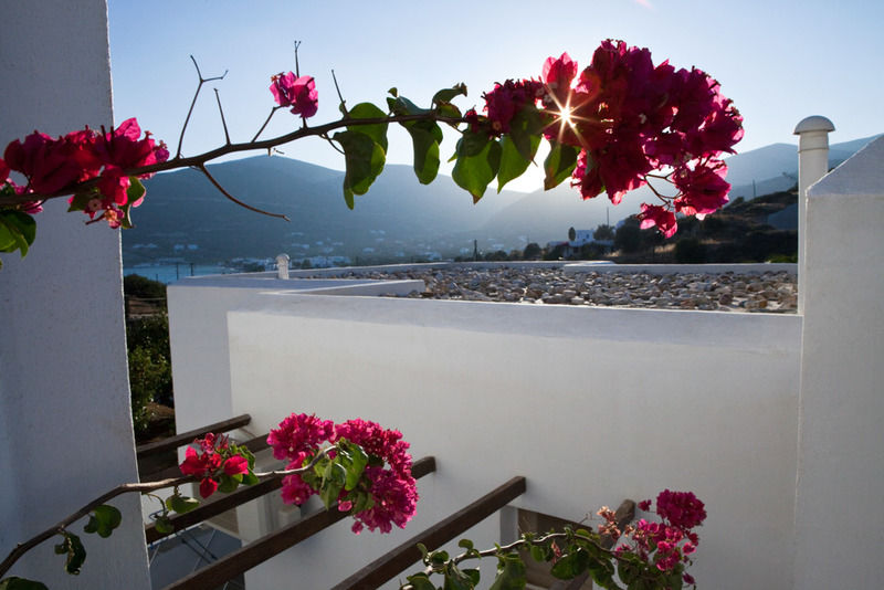 Alexandros Hotel Platis Gialos  Exteriör bild